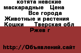 котята невские маскарадные › Цена ­ 18 000 - Все города Животные и растения » Кошки   . Тверская обл.,Ржев г.